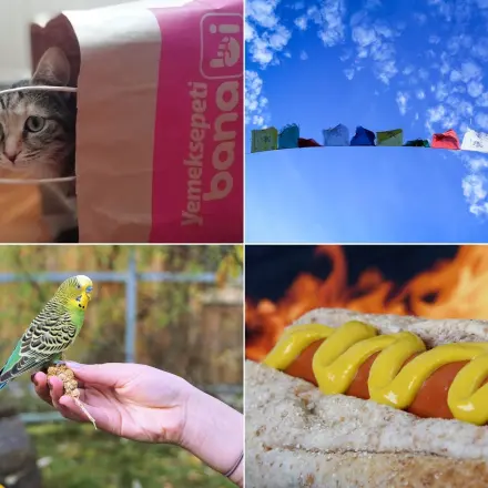 Herkunft und Geschichte von Redewendungen #FunFriday