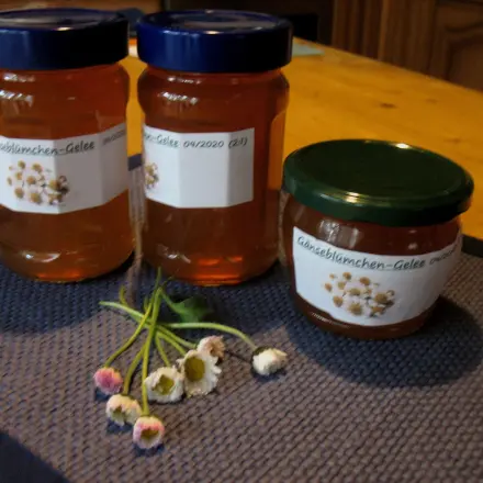 Gänseblümchen-Apfel-Gelee