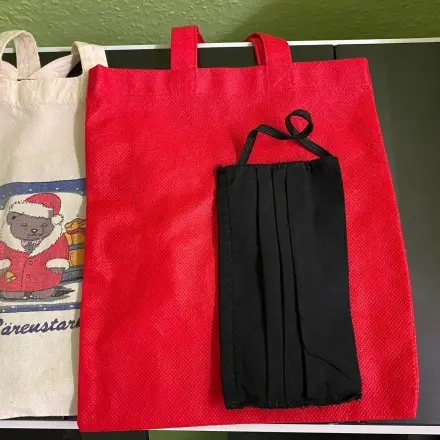 Alltagsmasken / Mund- und Nasenschutz sauber transportieren