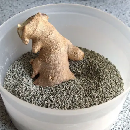 Ingwer/Gemüse frischhalten