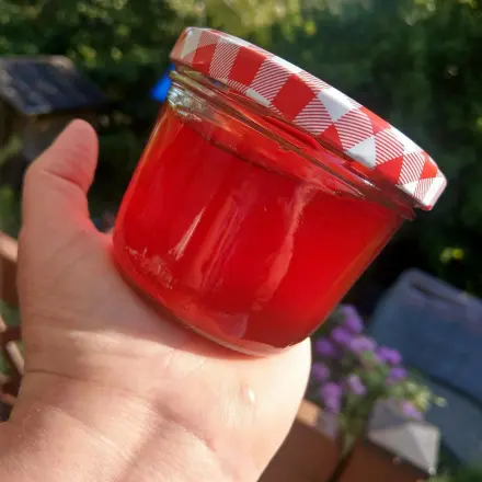 Tannenwipfelhonig