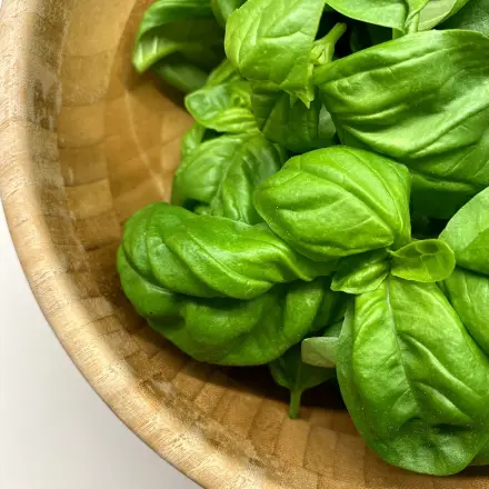 Basilikumpesto ohne Parmesan