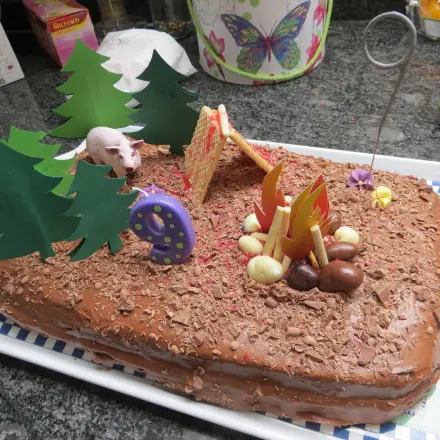 Lagerfeuer-Torte zum Geburtstag