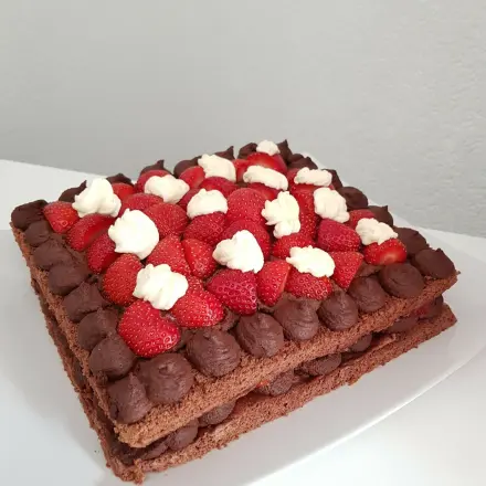 Schokoladen-Biskuit Grundrezept