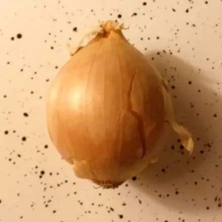 Rohe Zwiebel schneiden ohne Tränen