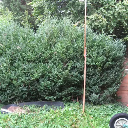 Obstpflücker verlängern und das Ernten sicherer machen