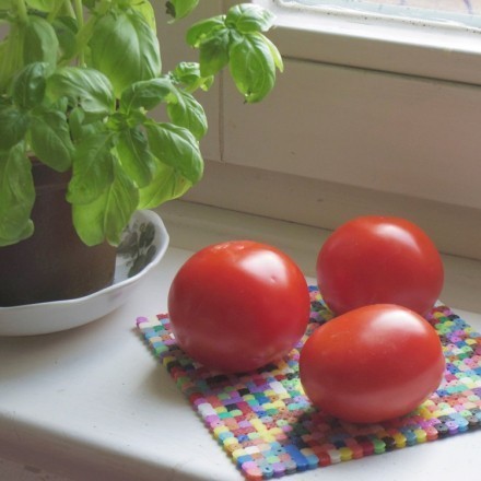 Tomaten aus dem Supermarkt: Nach 1 Woche superlecker