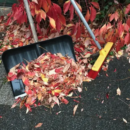 Laub praktisch und leise in die Biotonne befördern