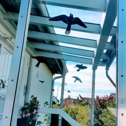 Vögel vor Glas schützen mit Warnvögel-Aufklebern