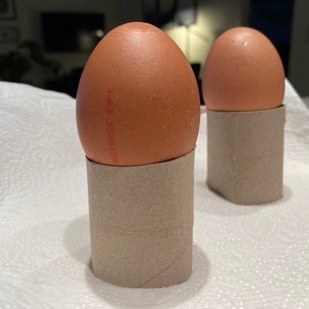 Eierbecher aus Papierrollen herstellen