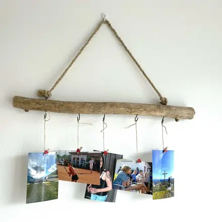 Hängende Fotowand am Birkenstamm | DIY