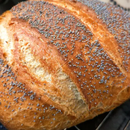 Mohn-Dinkel-Brot