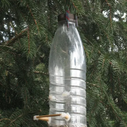 DIY-Futterstelle für Gartenvögel aus einer Einwegflasche