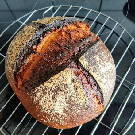 Dinkel-Sauerteig & einfaches Sauerteig-Dinkelbrot