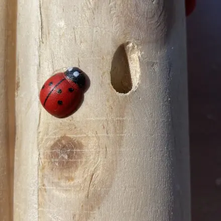 Gekauftes Insektenhotel - auf raue Stellen achten