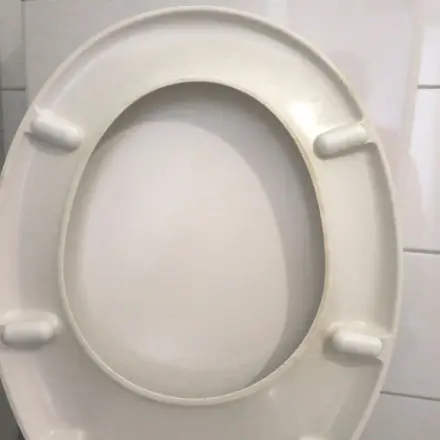 Bad und Toilette mit Geschirrspülbürsten reinigen