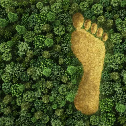 Ökologischer Fußabdruck - Definition