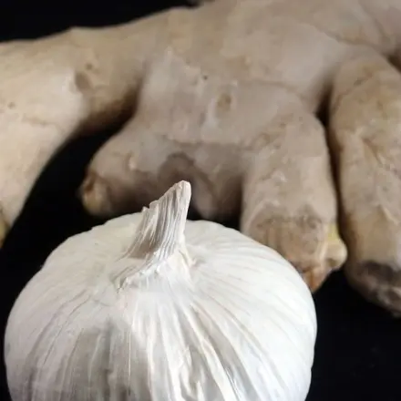 Ingwer-Knoblauch-Paste - immer vorrätig