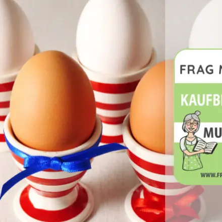 Eierbecher Test & Vergleich: 6 günstige Empfehlungen