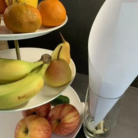 Fruchtfliegen lebend fangen