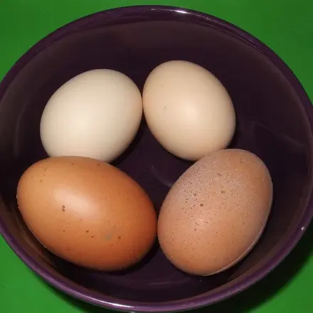 Kalte Eier wieder erwärmen