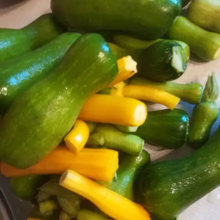 Falsche Salzgurken aus Kürbis und Zucchini