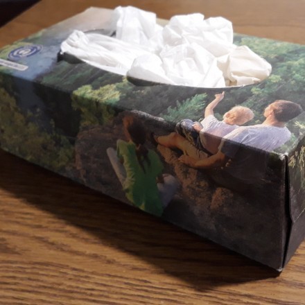 Plastiktaschen und Schnüre in Taschentuch-Box aufbewahren