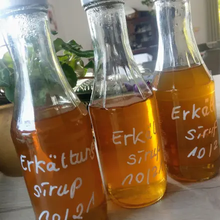 Kräutersirup bei Erkältungen selbst gemacht