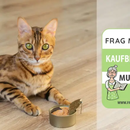 Nasses Katzenfutter Test & Vergleich: 6 Empfehlungen
