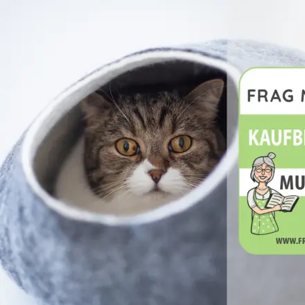 Katzenhöhle Test & Vergleich: 6 günstige Empfehlungen