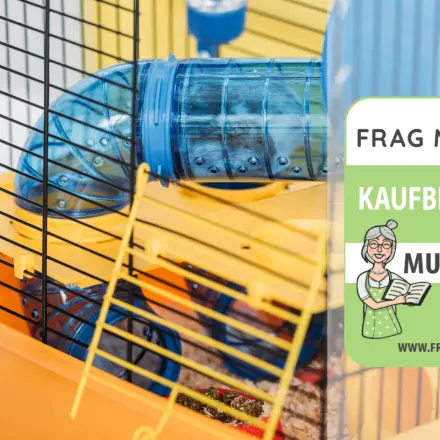 Hamsterkäfige Test & Vergleich: 6 günstige Empfehlungen