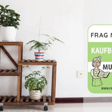 Blumenständer Test & Vergleich: 6 günstige Empfehlungen