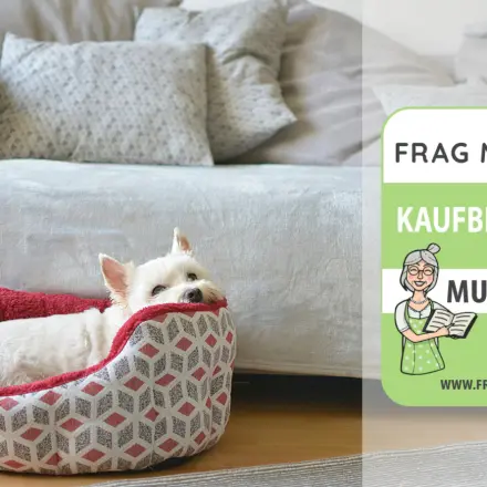 Hundebetten Test & Vergleich: 7 günstige Empfehlungen