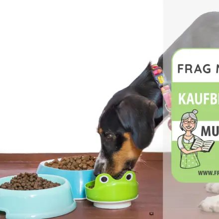 Hundefutter Test & Vergleich: 6 günstige Empfehlungen