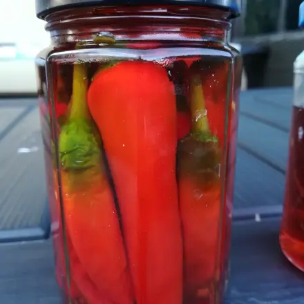 Frische Chilis in Himbeeressig eingelegt, Heiß- und Kaltabfüllung