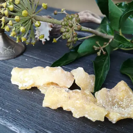 Baumharz reinigen mit Wasser oder Feuer - 2 Methoden