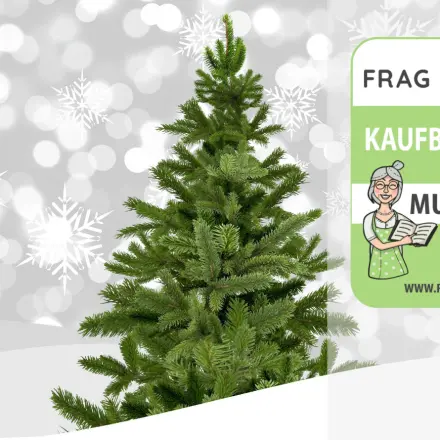 Christbaum Test & Vergleich: 6 günstige Empfehlungen