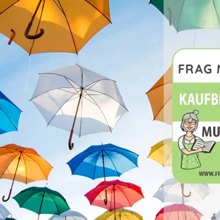 Regenschirme Test & Vergleich: 6 günstige Empfehlungen