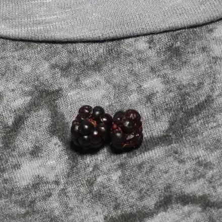 Obstflecken entfernen mit Naturjoghurt