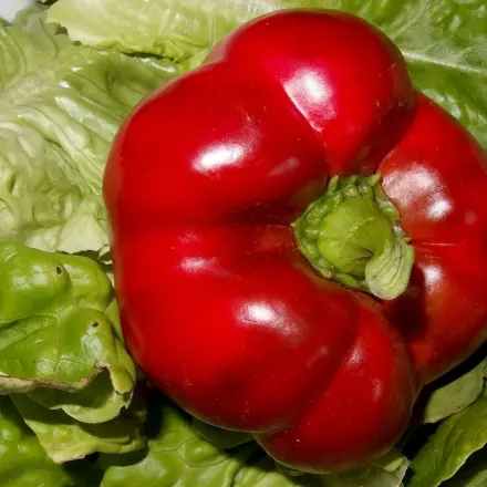 Paprika verträglich und billig