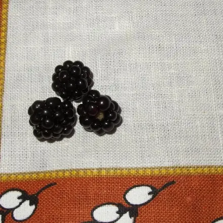 Mit Essig gegen Brombeerflecken