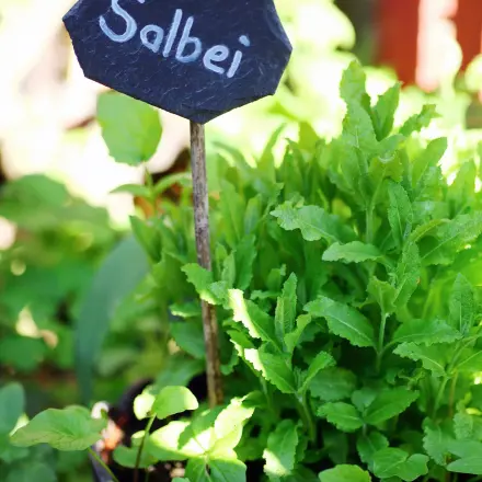 Stab von Pflanzenstecker vor Nässe schützen