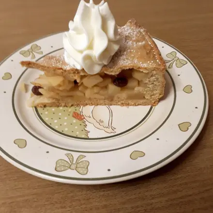 Gedeckter Apfelkuchen mit Dinkelvollkornmehl