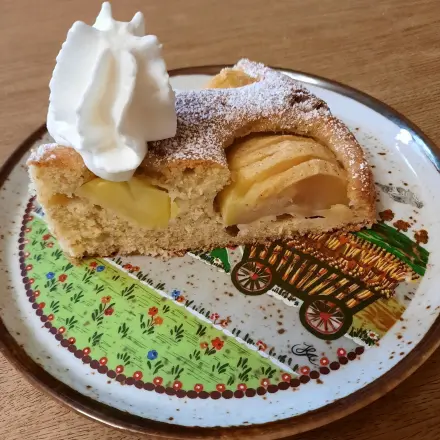 Apfelschlupfkuchen mit Dinkelvollkornmehl