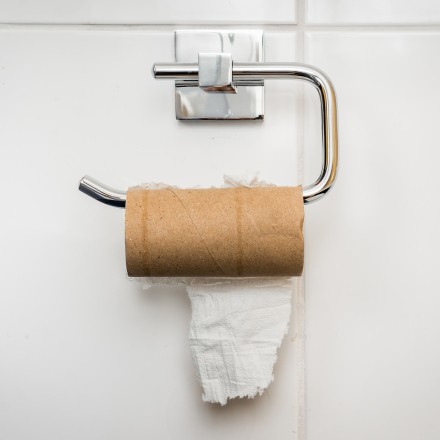Toilettenpapier Spartipp