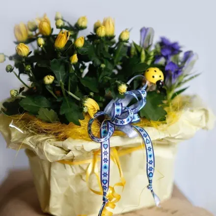 Richtig Blumen gießen