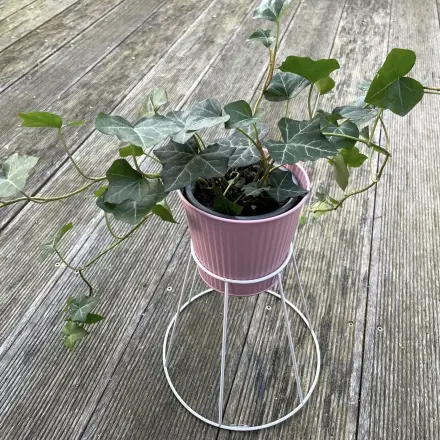 Pflanzenständer aus Lampenschirm selber bauen