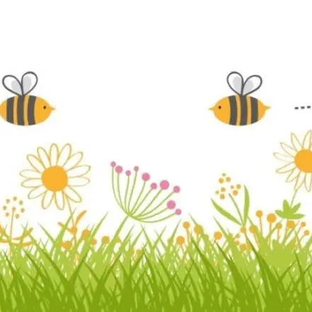 Weltbienentag – Rettung in letzter Sekunde?