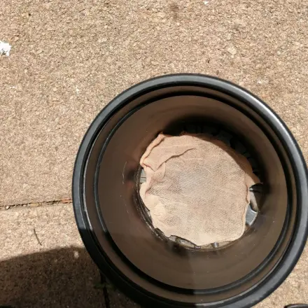 Alte Feinstrumpfhosen für Blumentöpfe weiterverwenden