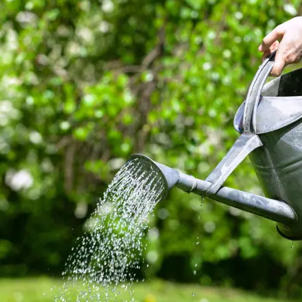 Trinkwasser sparen
